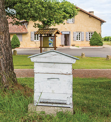 Ruche abeilles - Boutique Maison Fontan Côte de Gascogne